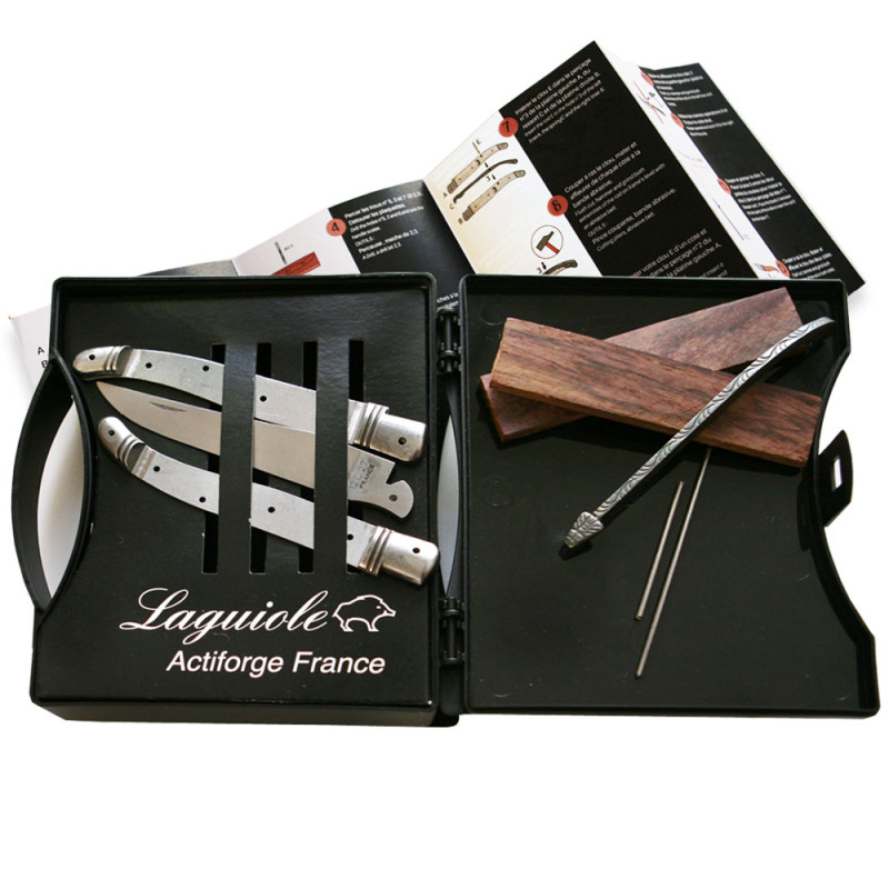 Laguiole folding knife kit with 2 stainless steel bolsters