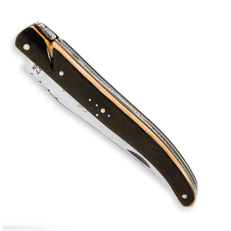 Laguiole knife Ecology Bicolour handle