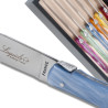 Set of 6 Laguiole steak knives plexiglass assorted color handles