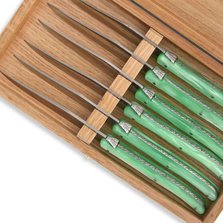 Set of 6 Laguiole steak knives green color plexiglass handles