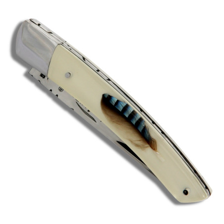 Thiers pocket knife plexiglas handle with feather jay bird