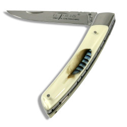 Thiers pocket knife plexiglas handle with feather jay bird