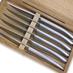 Box-set of 6 stainless steel Thiers steak knives