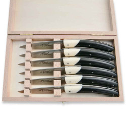 Box-set of 6 Thiers steak knives with acrylic handle