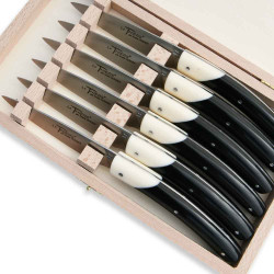 Box-set of 6 Thiers steak knives with acrylic handle
