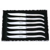 Box set of 6 flat stainless steel Laguiole steak knives with sandblasted finish