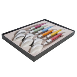 Set of 6 Laguiole soup spoons in assorted colors