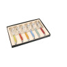 Set of 6 Laguiole tea spoons in assorted colors