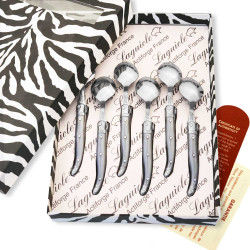 Box of 6 gray Laguiole coffee spoons
