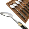 Set of 6 Laguiole soup spoons black horn handle