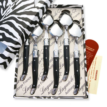 Box of 6 Laguiole ABS black soup spoons