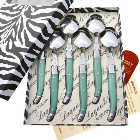 Box of 6 green ABS Laguiole soup spoons