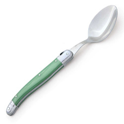 Box of 6 green ABS Laguiole soup spoons