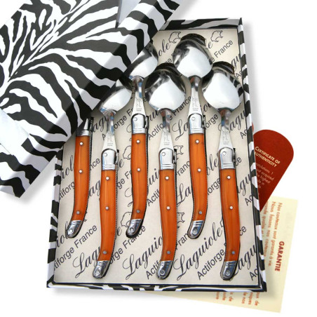 Box of 6 Laguiole ABS orange soup spoons