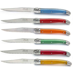 Set of 24 pieces Laguiole in assorted colors
