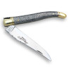 Laguiole knife with iron cristallium handle