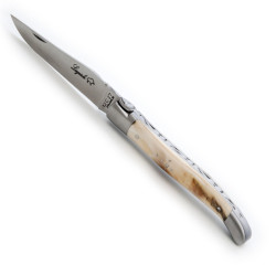 Wild bear Laguiole with warthog tooth handle