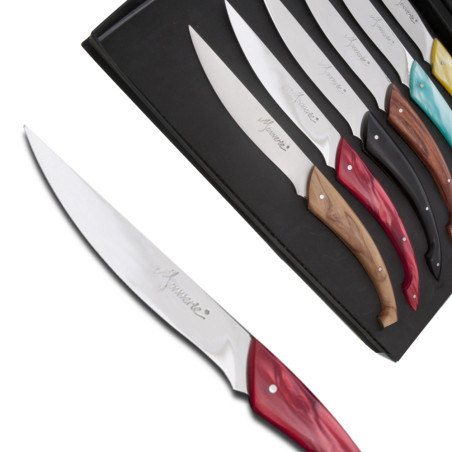 Set of 6 Monnerie knives tableware in assorted colors