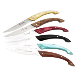 Ensemble de 6 couteaux de table Monnerie coloris assortis